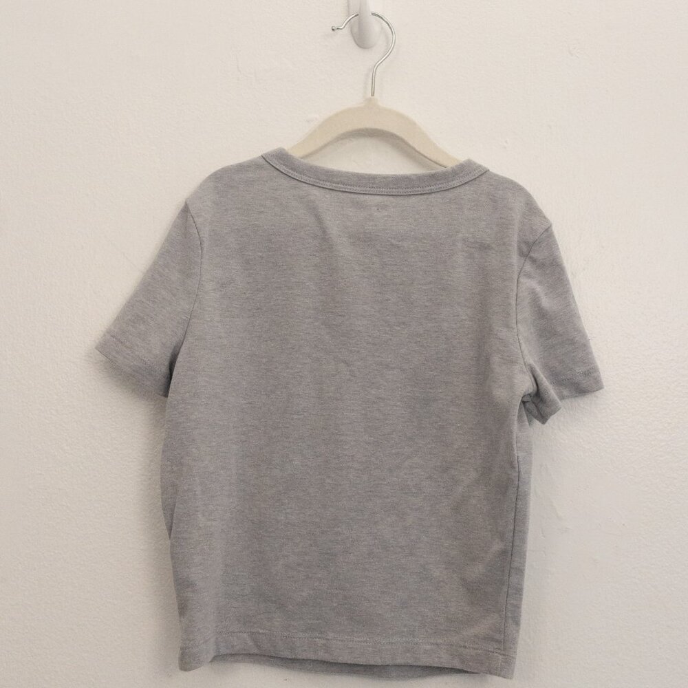 Wild Fable Gray Cropped Tee XXS Minimalist Basic Short Sleeve Top - Picture 3 of 4